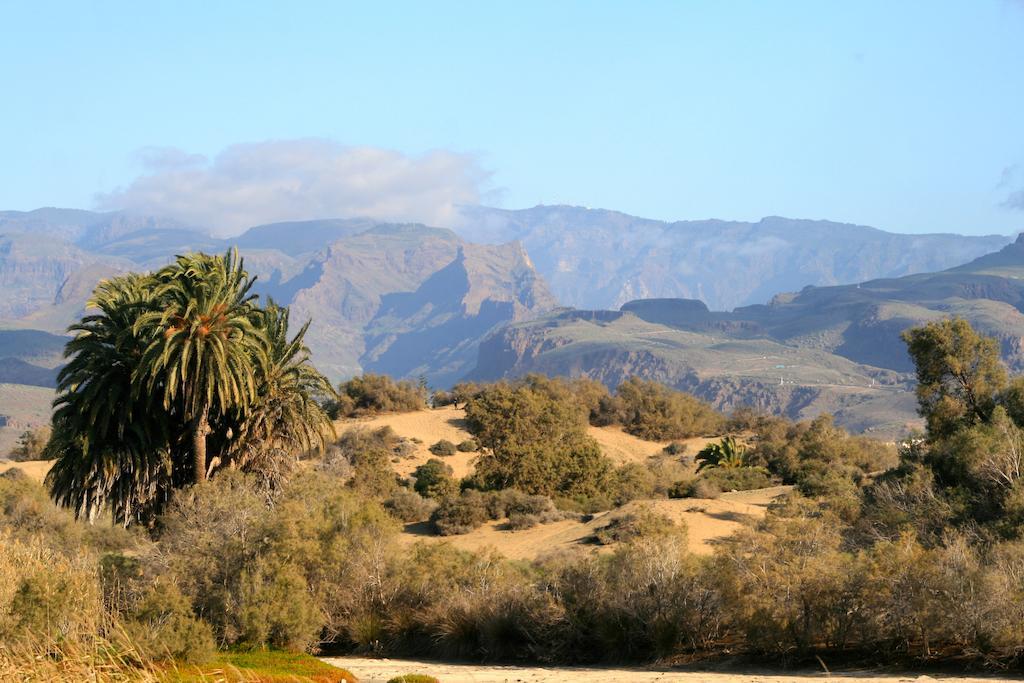 Apartamentos El Capricho Maspalomas  Kültér fotó