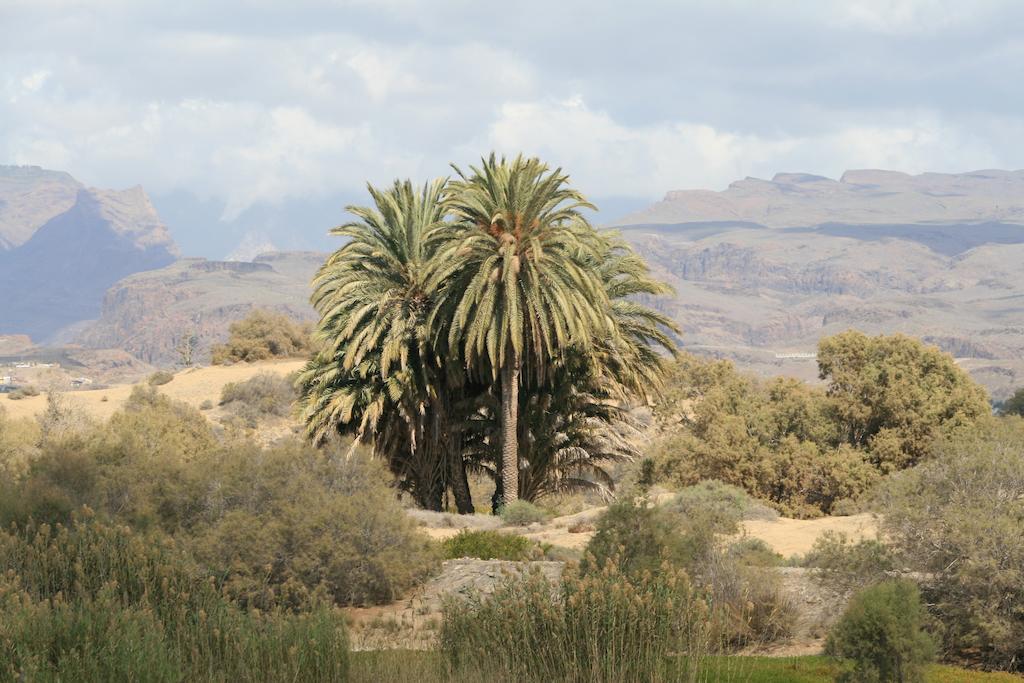 Apartamentos El Capricho Maspalomas  Kültér fotó